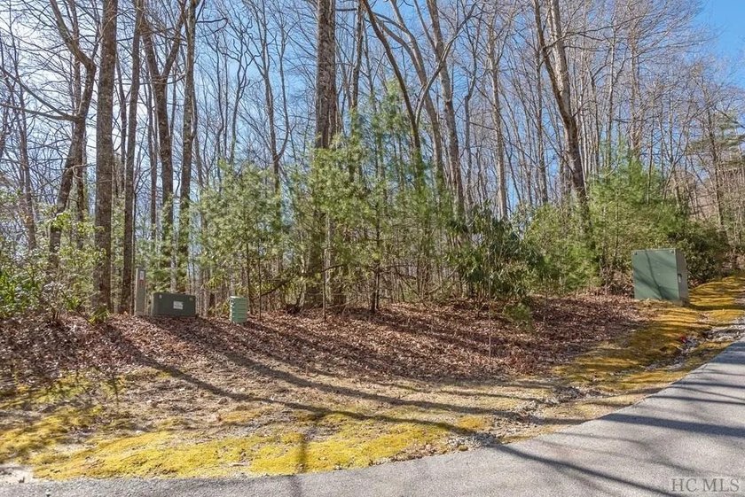 Proposed new construction on a private, wooded 0.94-acre - photo 4