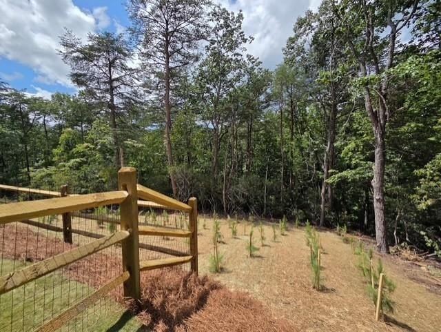 ***FANTASTIC NEW CONSTRUCTION! 3 Bed 3 Bath Ranch style plan - photo 6