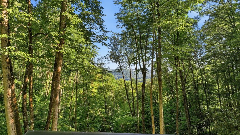 Perched on 1.12 private acres, this custom-built Timbercraft - photo 6