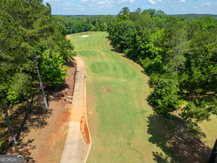 Incredible Price for Gorgeous 2 Acre River Lot on a Full - photo 47