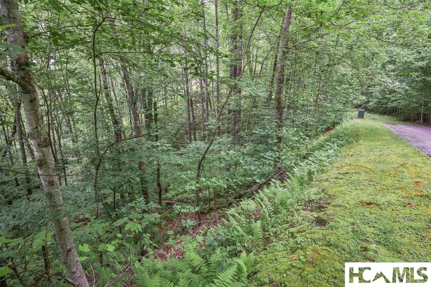This generous 5.85-acre estate comprises two adjoining lots (7 &amp; - photo 5