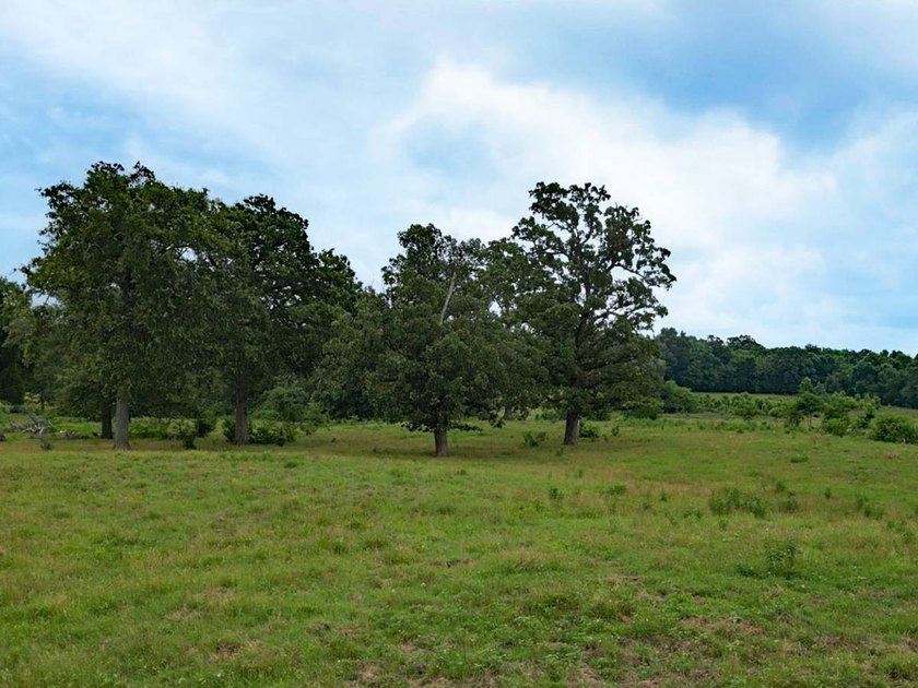 352 +/- Acres Haley Ranch, Acres: 351.944 +/- Acres. Price: $9 - photo 3