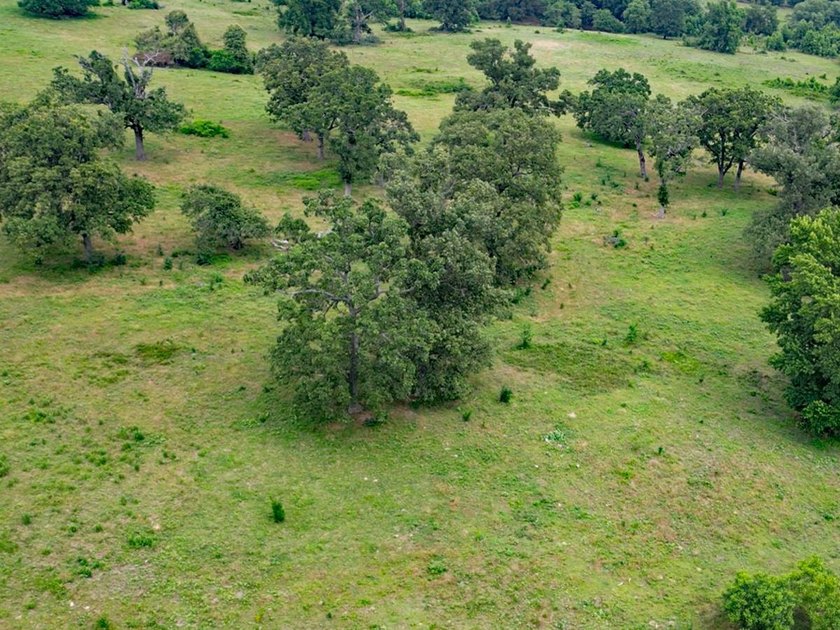 352 +/- Acres Haley Ranch, Acres: 351.944 +/- Acres. Price: $9 - photo 6