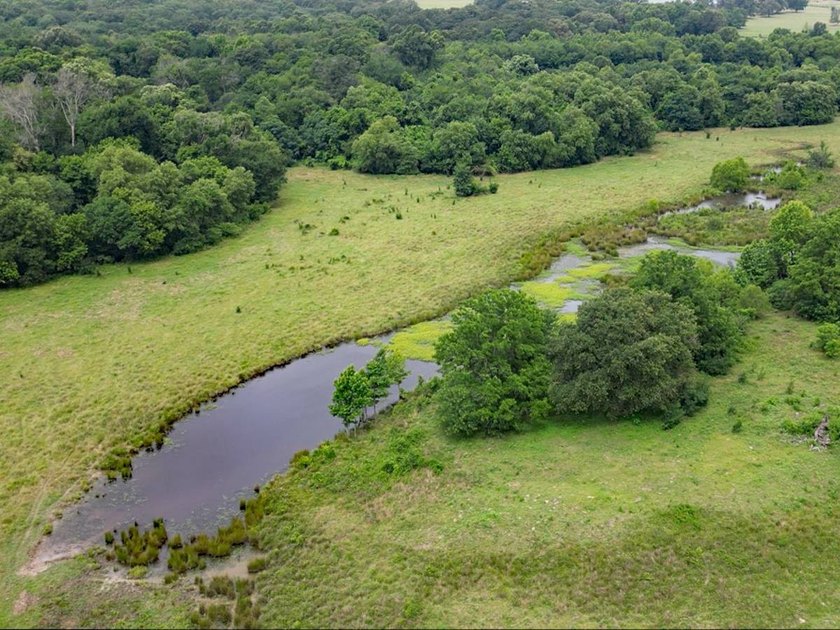352 +/- Acres Haley Ranch, Acres: 351.944 +/- Acres. Price: $9 - photo 8