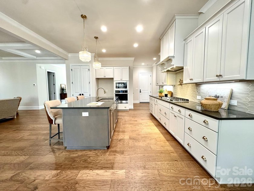 Beautiful new custom home in the Irish Creek Country Club - photo 7
