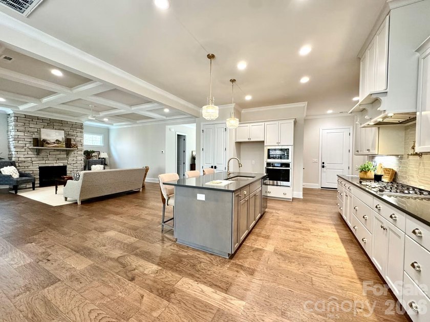 Beautiful new custom home in the Irish Creek Country Club - photo 8