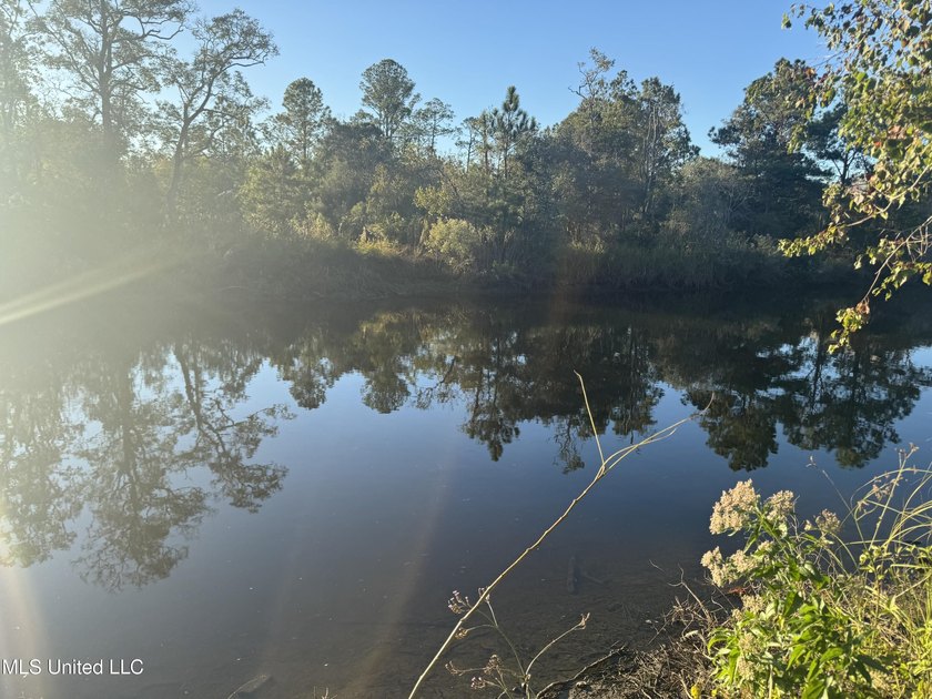 Looking for a big lot on a wide canal at an affordable price - photo 11