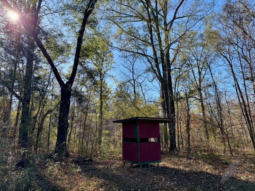 This is one of the rarest riverfront tracts to hit the market in - photo 11
