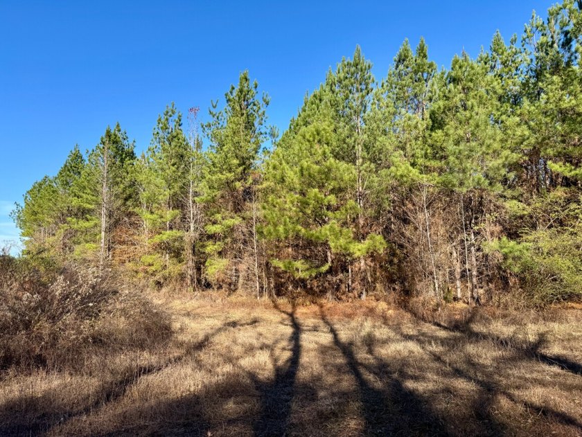 This is one of the rarest riverfront tracts to hit the market in - photo 13