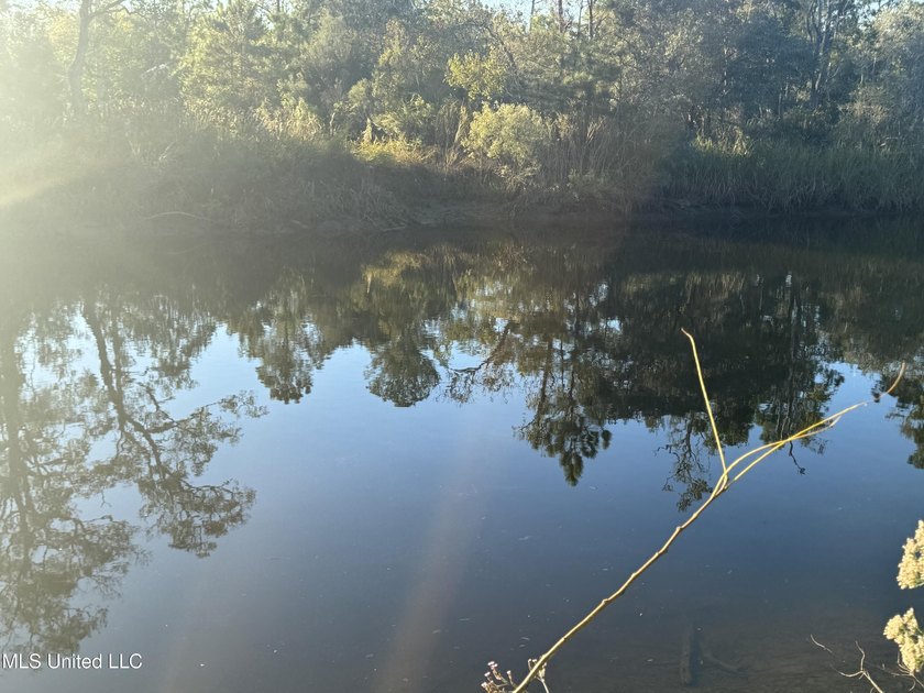 Looking for a big lot on a wide canal at an affordable price - photo 14