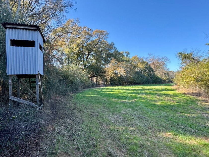 This is one of the rarest riverfront tracts to hit the market in - photo 16