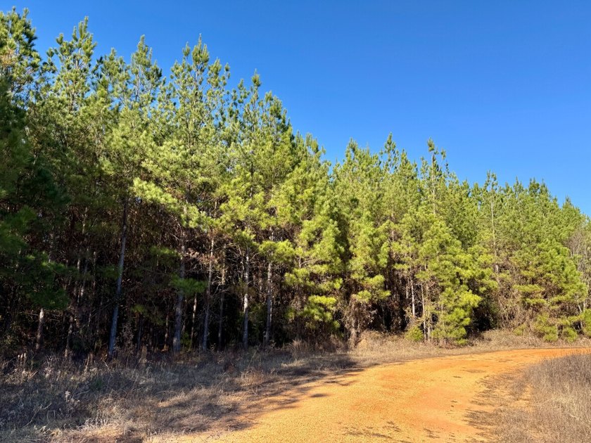 This is one of the rarest riverfront tracts to hit the market in - photo 19