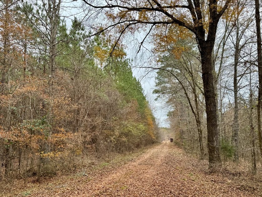 This is one of the rarest riverfront tracts to hit the market in - photo 21