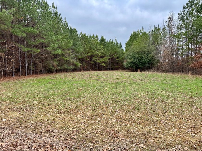 This is one of the rarest riverfront tracts to hit the market in - photo 22