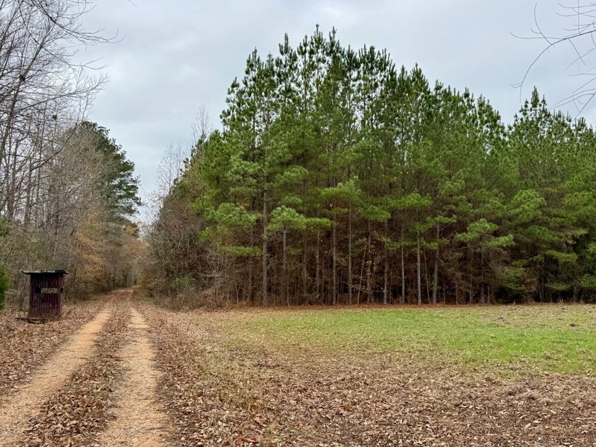 This is one of the rarest riverfront tracts to hit the market in - photo 25