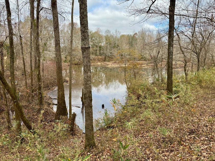 This is one of the rarest riverfront tracts to hit the market in - photo 27