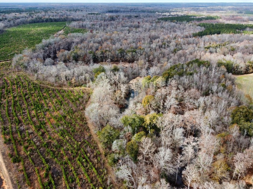 This is one of the rarest riverfront tracts to hit the market in - photo 29