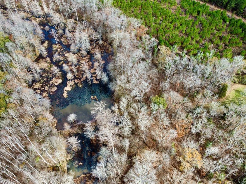 This is one of the rarest riverfront tracts to hit the market in - photo 32