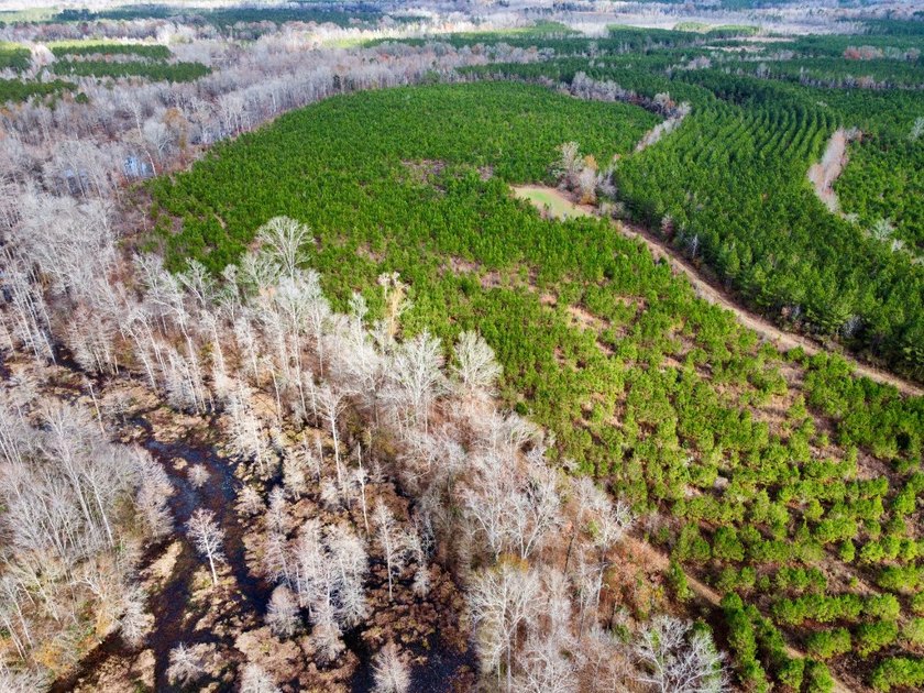 This is one of the rarest riverfront tracts to hit the market in - photo 33