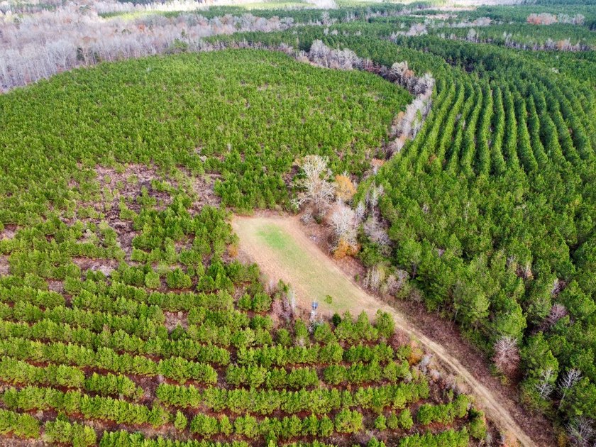 This is one of the rarest riverfront tracts to hit the market in - photo 34