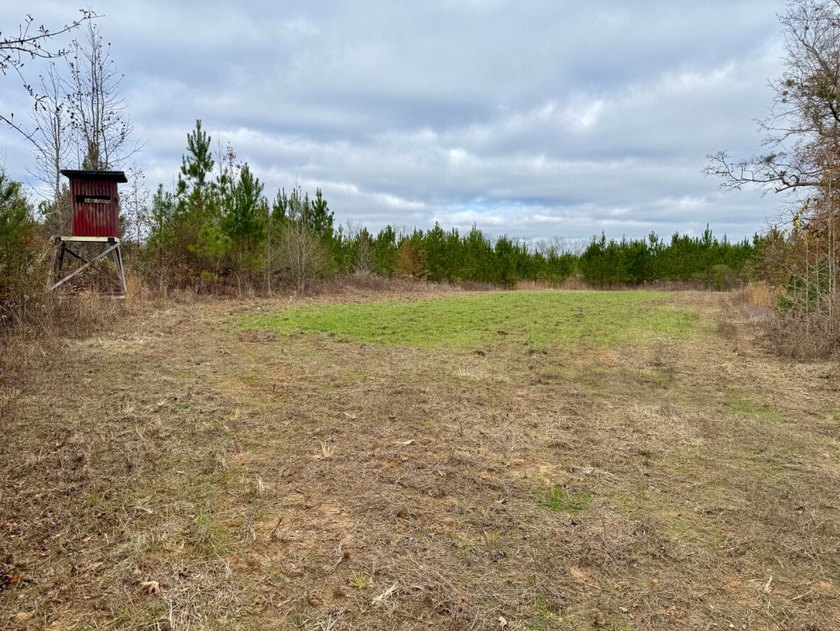 This is one of the rarest riverfront tracts to hit the market in - photo 35