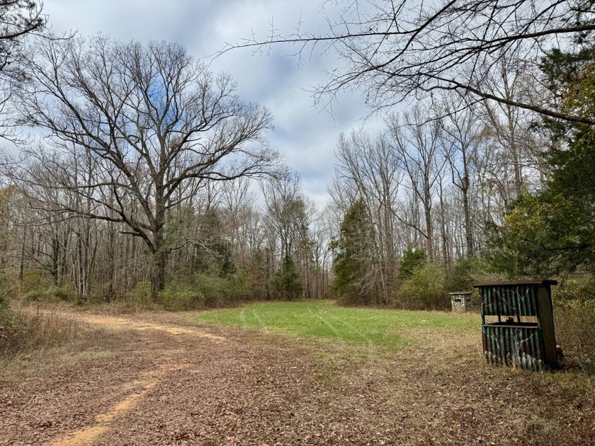 This is one of the rarest riverfront tracts to hit the market in - photo 37