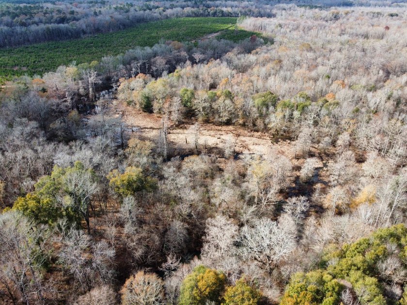 This is one of the rarest riverfront tracts to hit the market in - photo 40