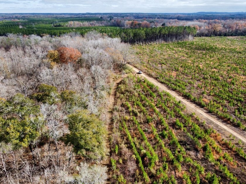 This is one of the rarest riverfront tracts to hit the market in - photo 41