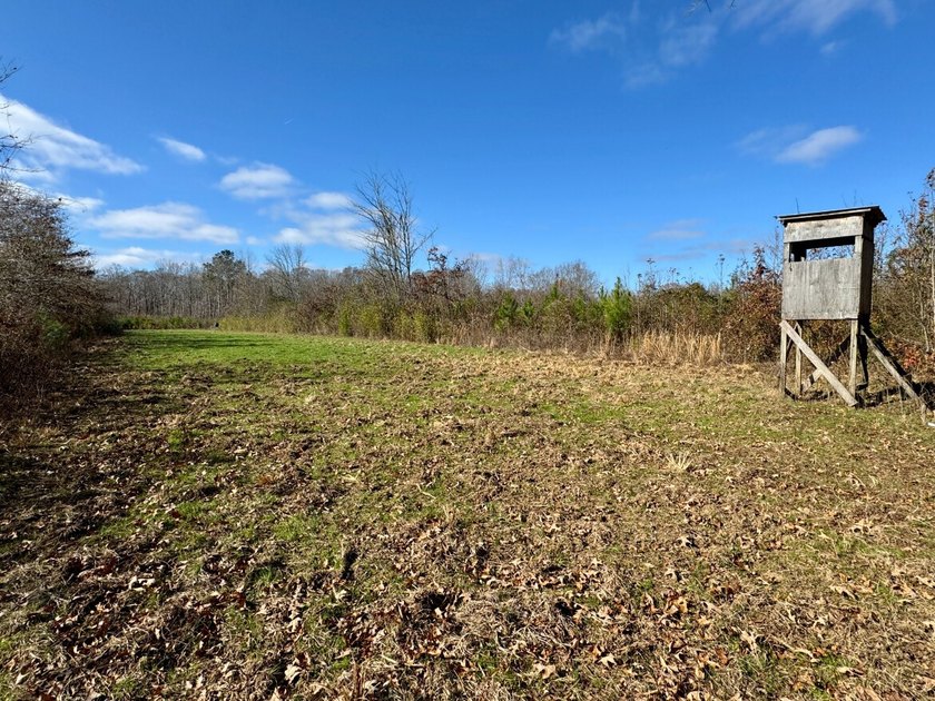 This is one of the rarest riverfront tracts to hit the market in - photo 43