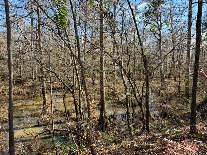 This is one of the rarest riverfront tracts to hit the market in - photo 47