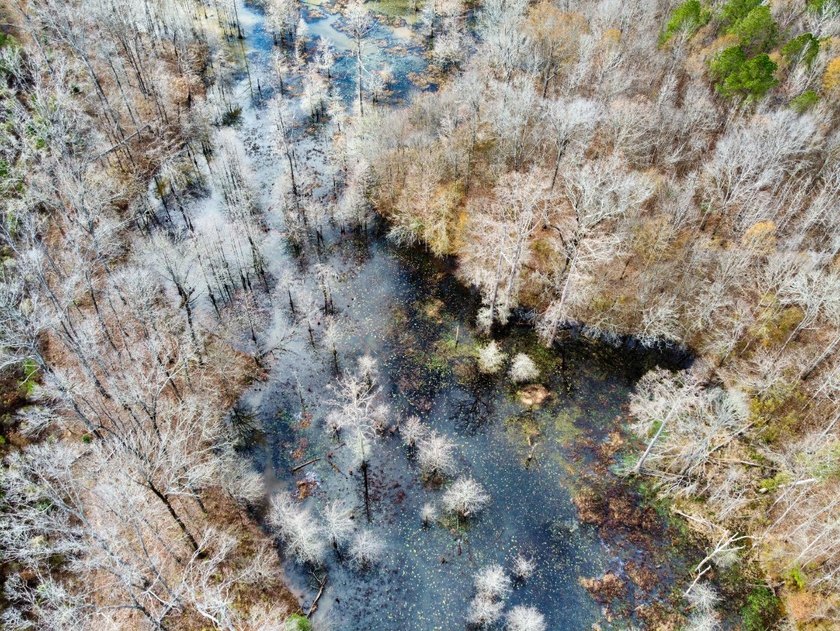 This is one of the rarest riverfront tracts to hit the market in - photo 49