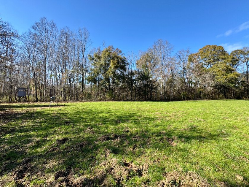 This is one of the rarest riverfront tracts to hit the market in - photo 50