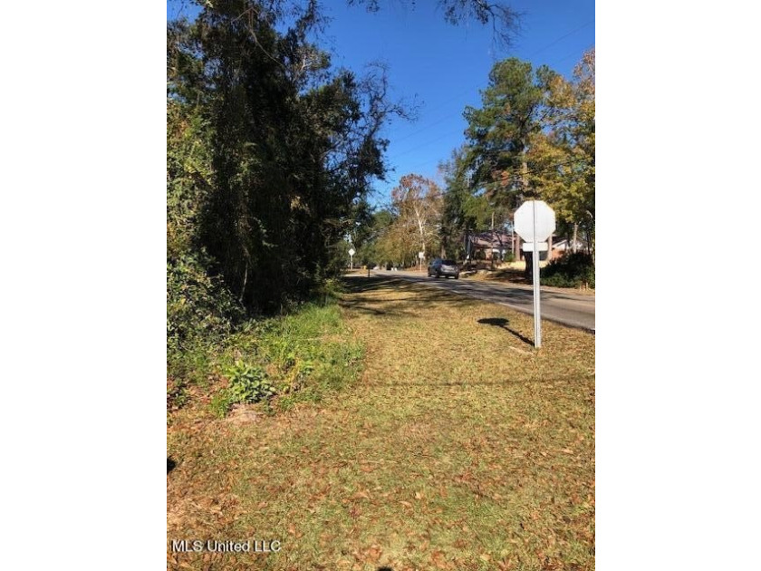 Beautiful corner lot with large established live oak and water - photo 2