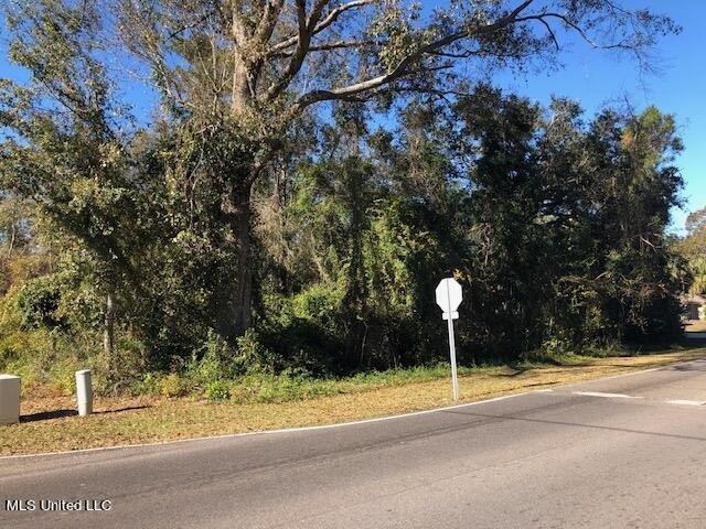 Beautiful corner lot with large established live oak and water - photo 4