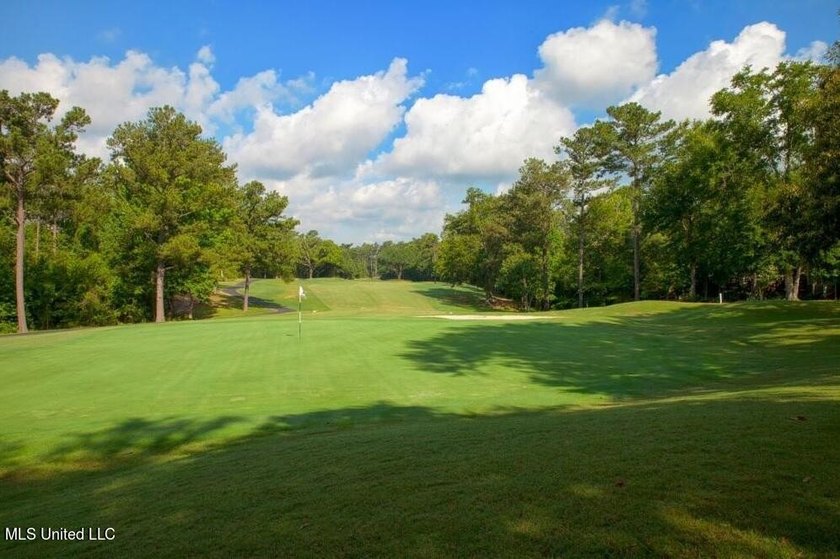 Beautiful corner lot with large established live oak and water - photo 8