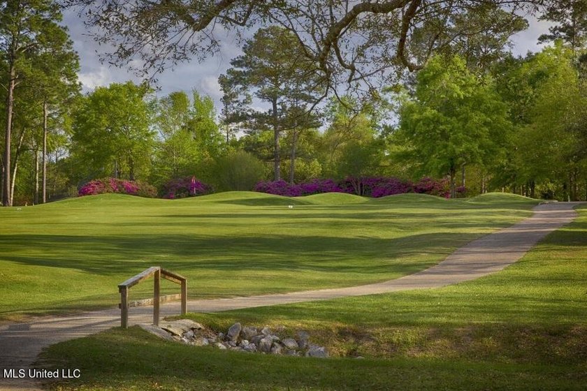 Beautiful corner lot with large established live oak and water - photo 9