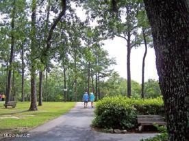 Beautiful corner lot with large established live oak and water - photo 10