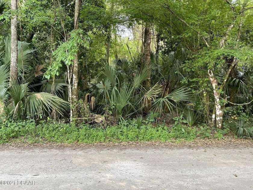 Great piece of land in quiet and peaceful Deltona. Close to I-4 - photo 18