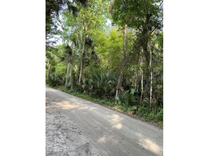 Great piece of land in quiet and peaceful Deltona. Close to I-4 - photo 19