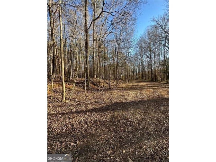 Rare opportunity to own nearly 8 acres in Covington with - photo 5