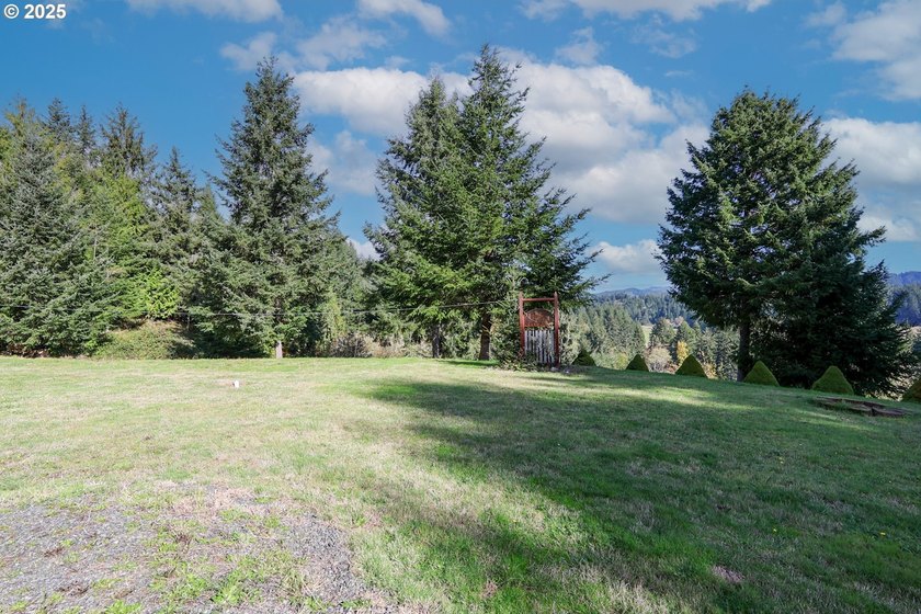 2+ acres of private country living with well and septic. Large - photo 39
