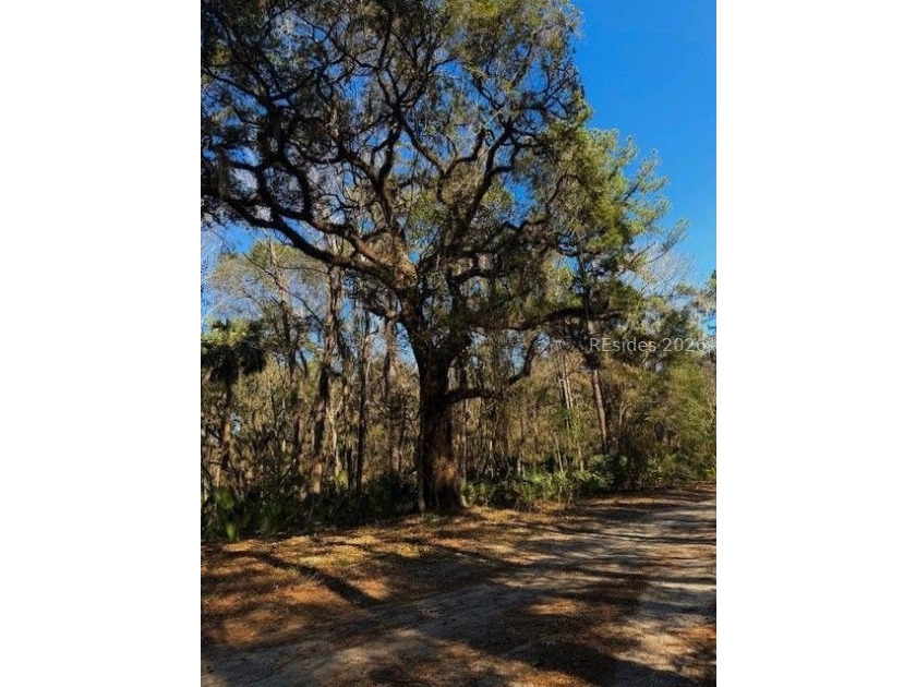 Almost 2.7 acres of land located in the Historical area of - photo 2