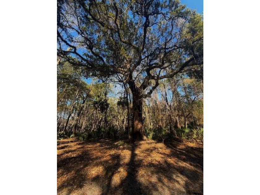Almost 2.7 acres of land located in the Historical area of - photo 5