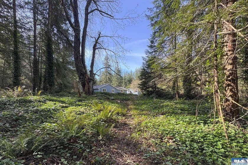 Tucked away privacy with surrounding trees (including fruit - photo 42