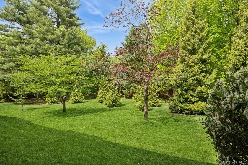 Elegant, pristine, and spacious 2-bedroom, renovated 2.5-bath - photo 24