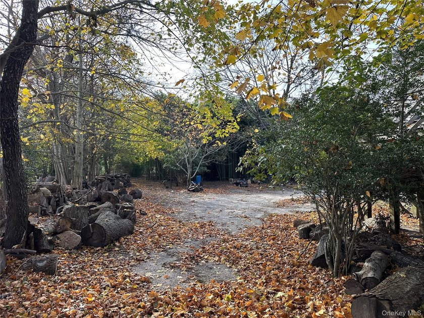 Redeveopment opportunity. Oversized lot in prime location close - photo 13