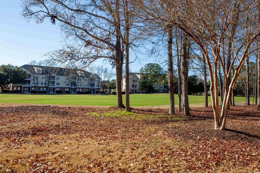 This incredible master down floorplan on the golf course in - photo 25