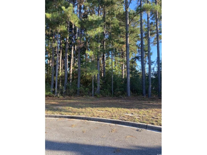 LOCATED NEXT TO NUMEROUS MEDICAL FACILITIES AND OFFICES. A - photo 3