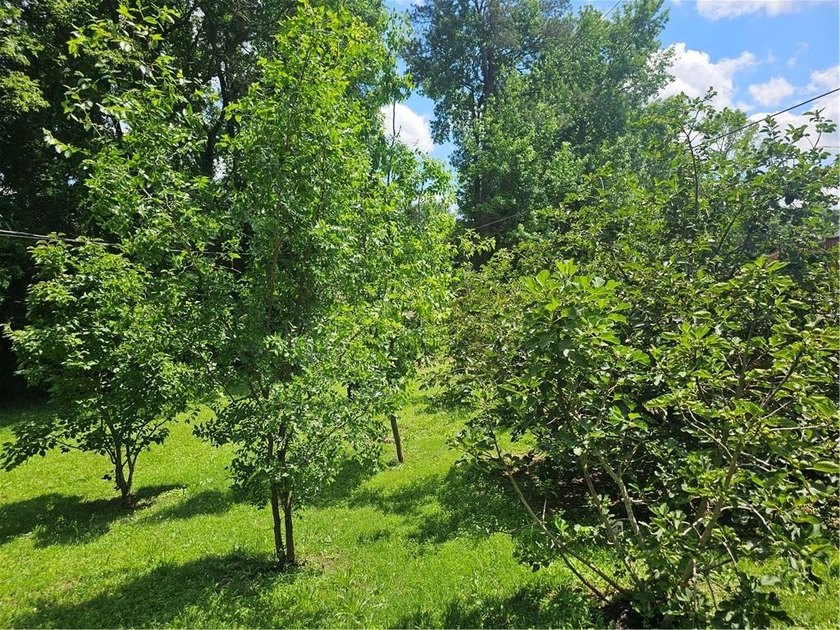 Great Location. 4 bedroom, 3 full bathroom homes is in need of - photo 10