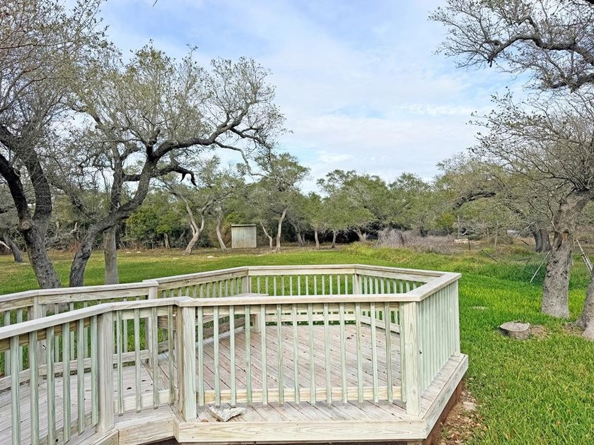 Have you ever seen a Whooping Crane in your backyard? You will - photo 25